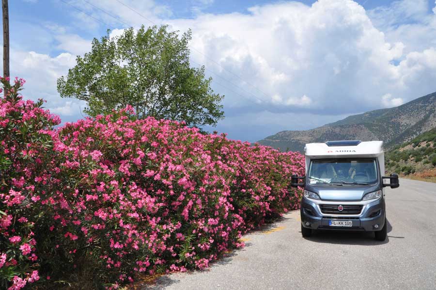 En autocamper parkeret ved siden af en vej med lyserøde oleanderbuske og bakker i baggrunden.