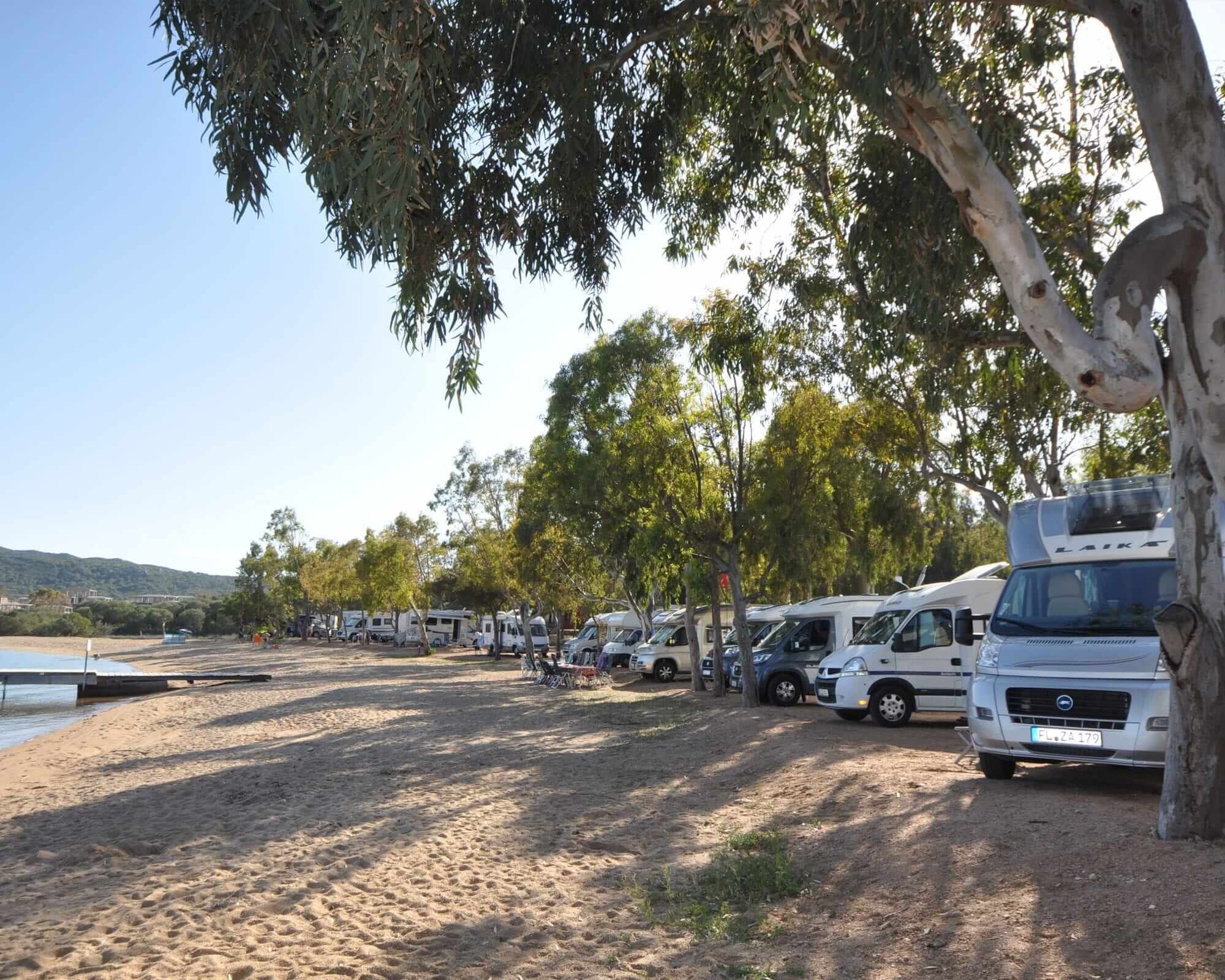 Row of parked campervans by a lakeside with trees under a clear sky.