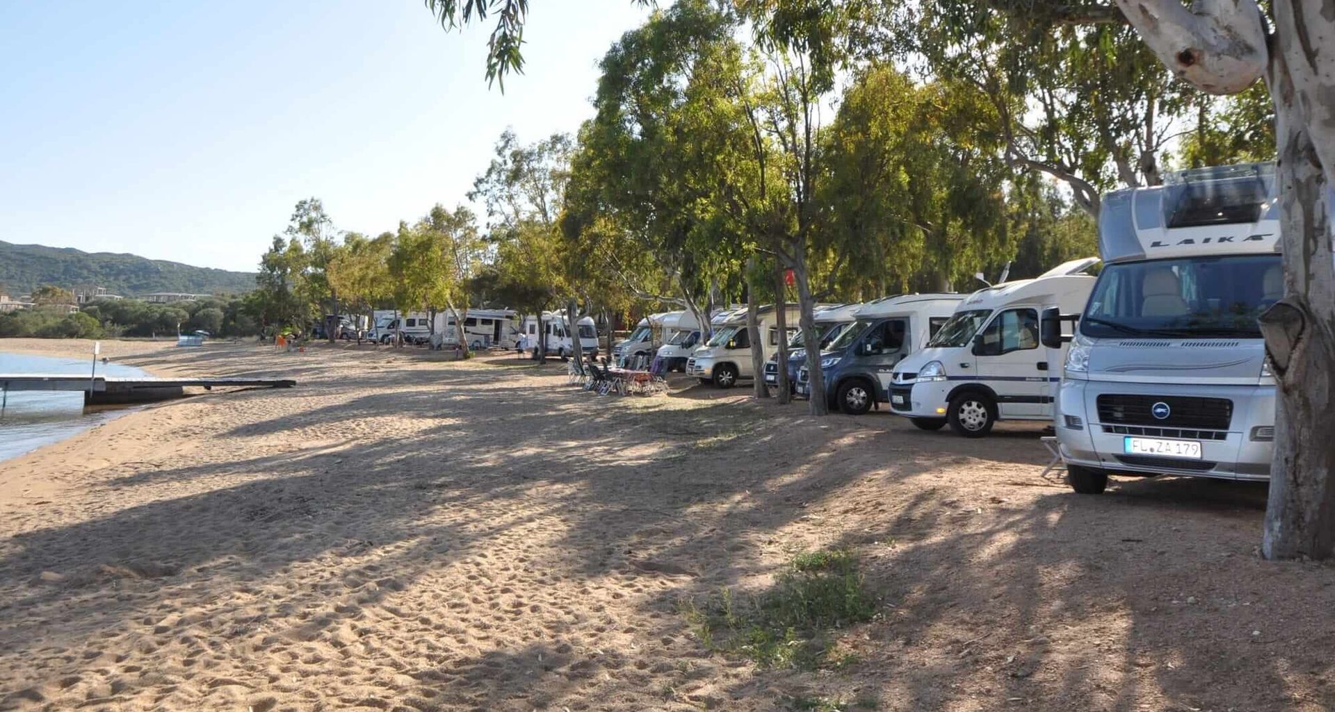Row of campervans parked by a sandy beach with trees and a clear sky.